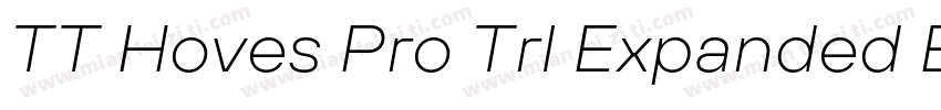 TT Hoves Pro Trl Expanded ExtraBold字体转换